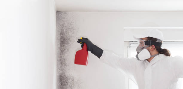 Bethel, OH Mold Remediation Company