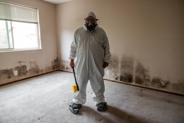 Best Industrial Mold Remediation in Bethel, OH